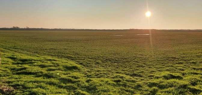 20200207_164009_resized